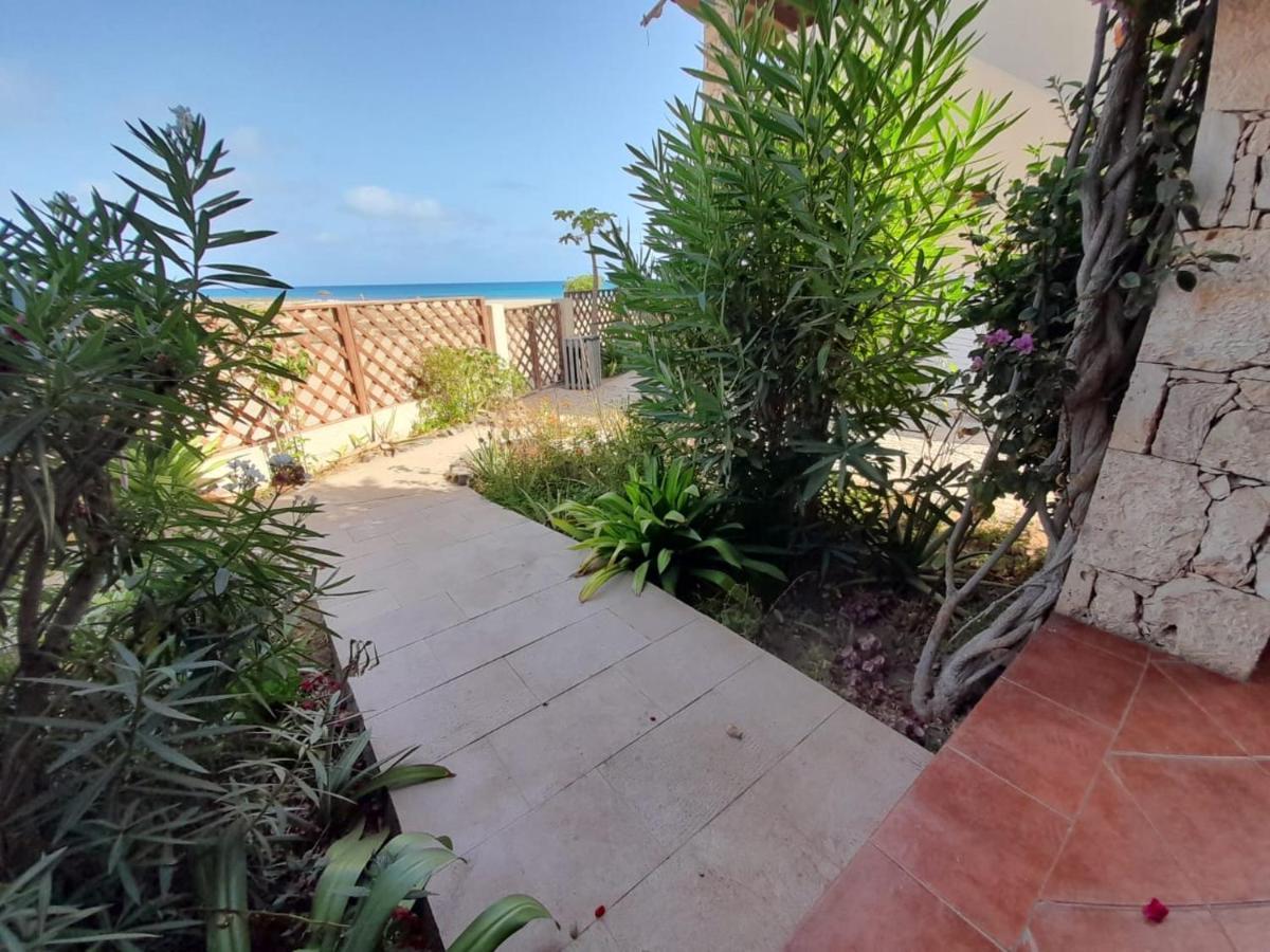 Sal&Love Apt In Porto Antigo Santa Maria Exterior photo